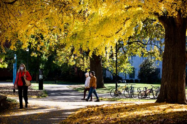 Students walking on campus under fall foliage