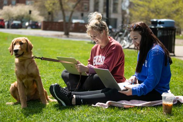 Photo of students studying on campus