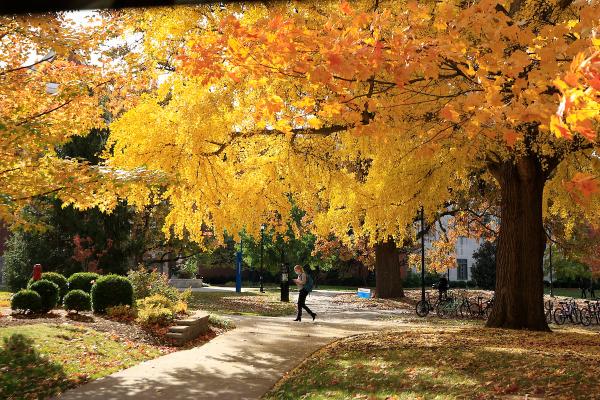 Photo of campus in the fall