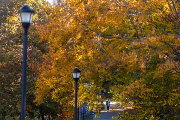 Photo of fall foliage on campus