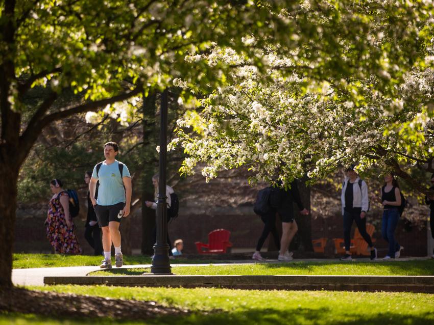 This is a photo of the University of Kentucky campus.