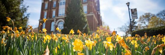 Spring photos on campus on March 3, 2020.