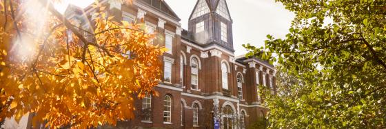 Main Building with fall leaves in the foreground. 