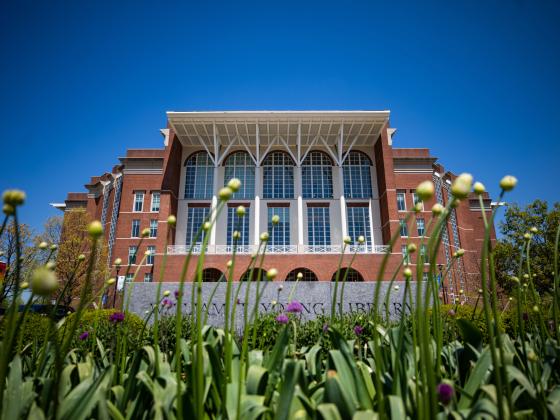 a low-angle view of the front of William T. Young library with flowers and grass in the foreground and a clear blue sky